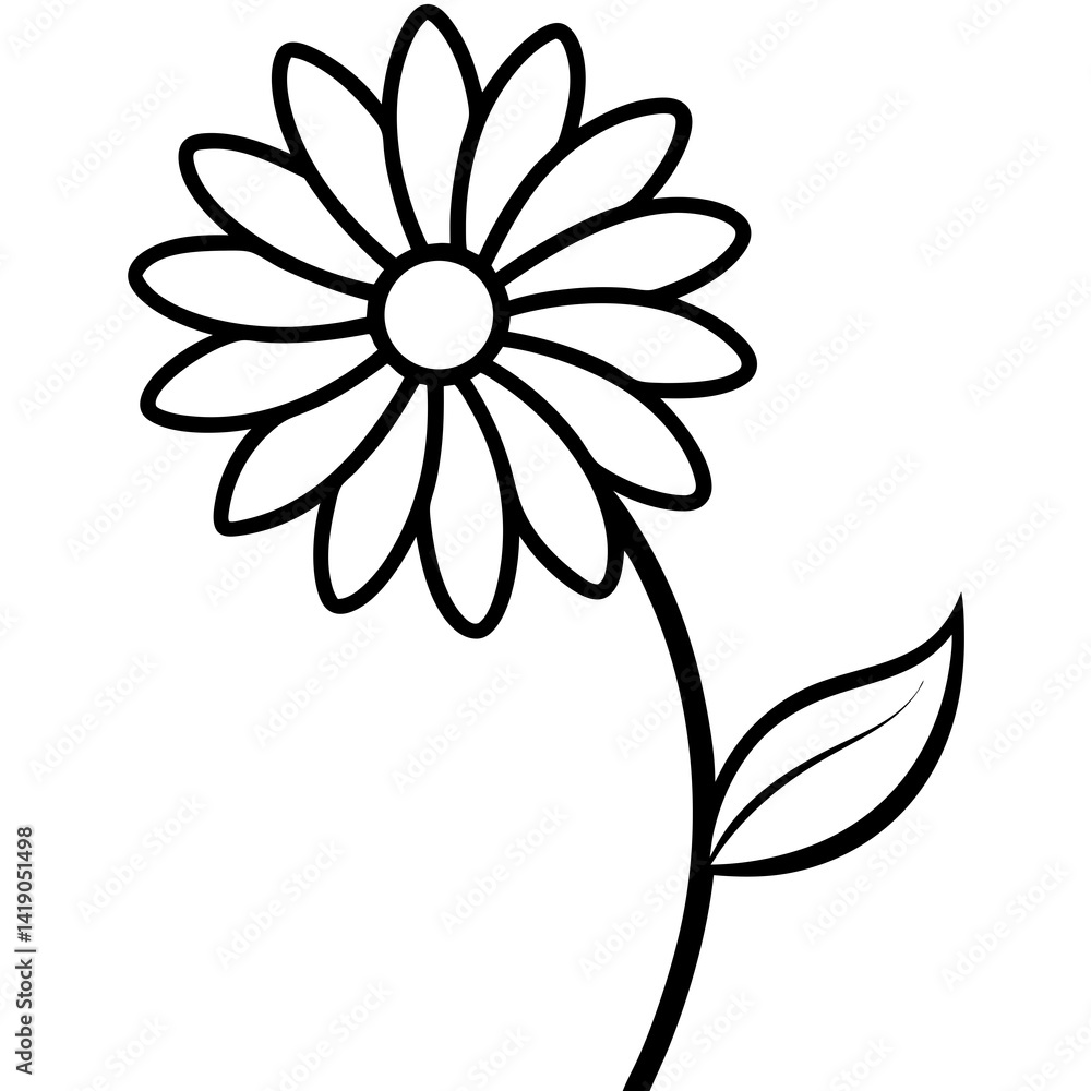 Fototapeta premium Daisy line art vector illustration on white background