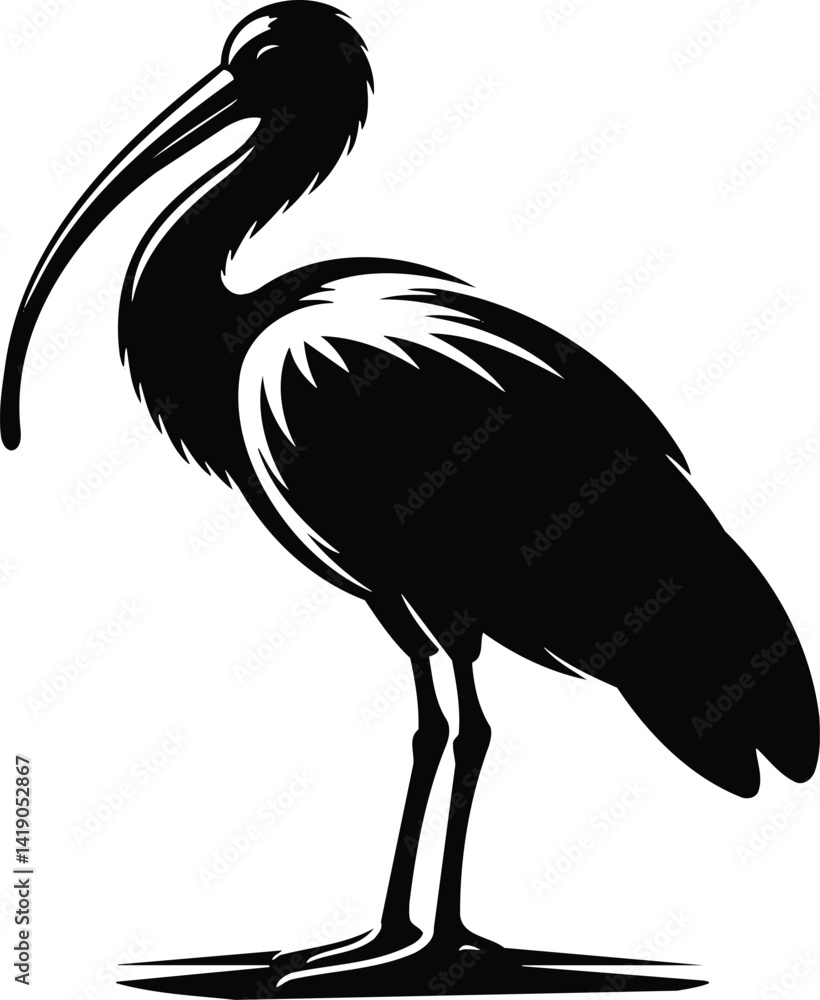 Fototapeta premium Ibis Standing Gracefully on One Leg Silhouette