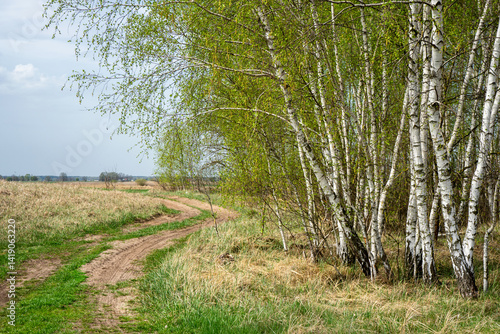 Fototapeta Naklejka Na Ścianę i Meble -  Delikatna wiosenna zieleń w Dolinie Narwi, Podlasie, Polska