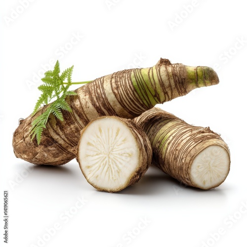 Fresh Organic Japanese Knotweed Roots with Leaf Healthy Vegetable Harvest