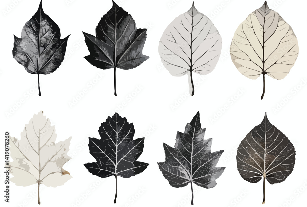 Obraz premium set of leaf