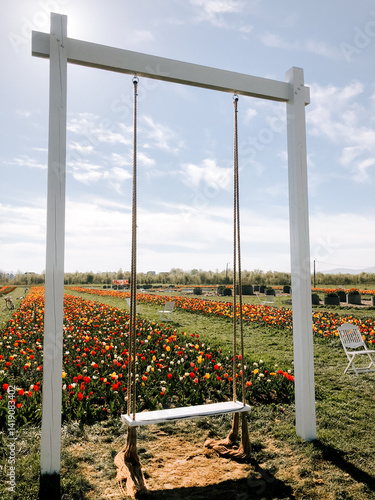 Wallpaper Mural Swing facing tulip fields under a clear blue sky in springtime Torontodigital.ca