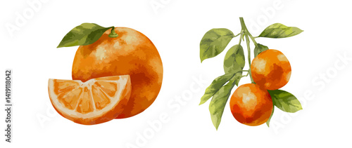 Watercolor vector illustration of ripe orange fruit with slice and leafy branch. Citrus hand drawn botanical element for packaging label kitchen print and organic food design