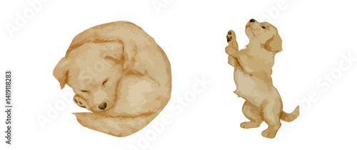 Watercolor golden retriever puppy illustration set with sleeping and standing dog poses. Hand painted dog art for nursery decor greeting cards kids designs and pet prints