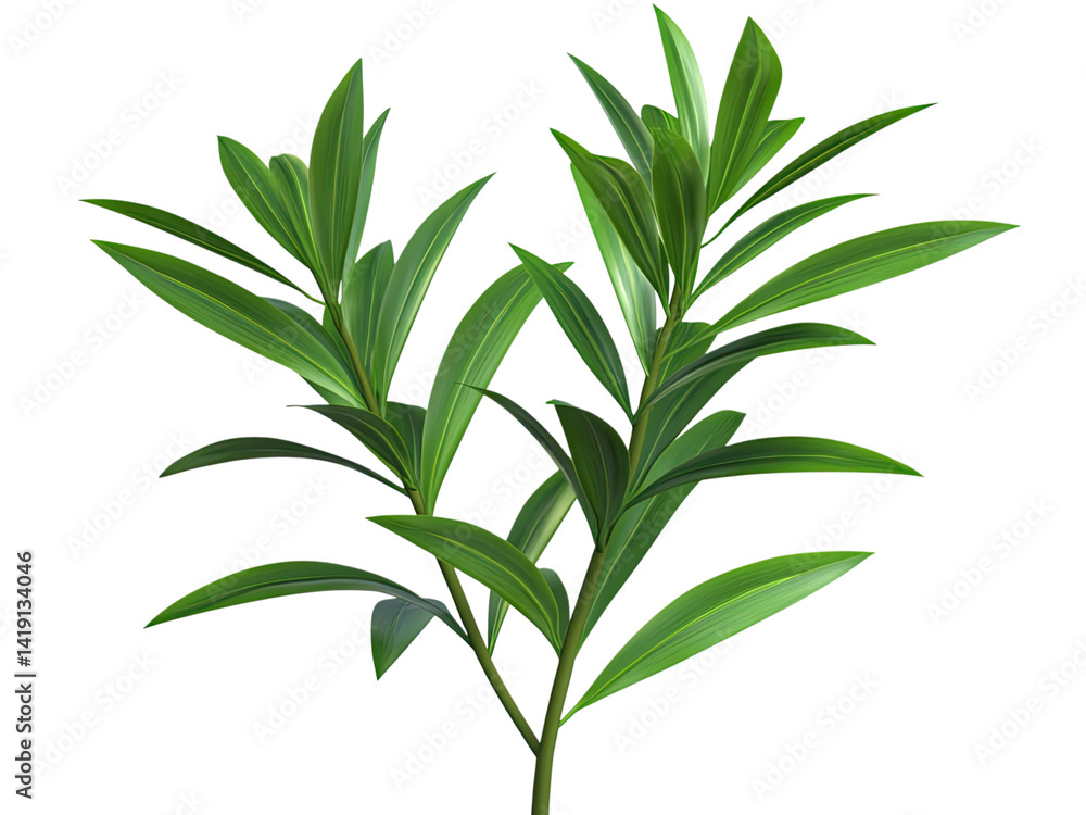 Fototapeta premium Vibrant Green Plant Leaves Detailed Closeup Photography Lush Foliage Botanical Garden