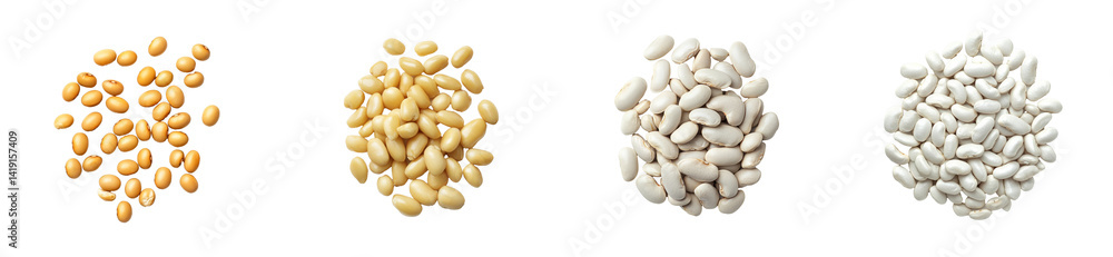Assortment of white beans on black, isolated, cut out transparent Assortment of white beans on black, isolated, cut out transparent