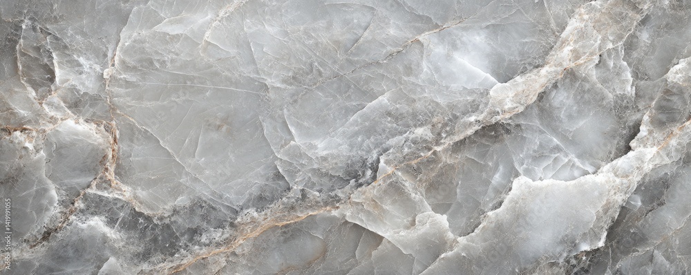 Fototapeta premium Abstract Background of Gray Marble Texture with White Veins Detailed Pattern