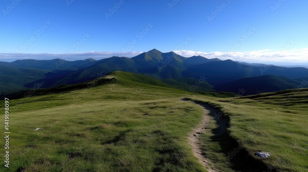 Fototapeta premium Mountain vista, grassy path, serene landscape