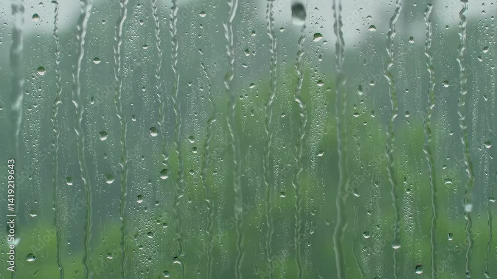 Raindrops on a Glass Window Overlooking Lush Green Vegetation in a Tranquil Outdoor Scene During a Rainy Day Raindrops on a Glass Window Overlooking Lush Green Vegetation in a Tranquil Outdoor Scene During a Rainy Day