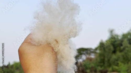 Human hand gently releases fluffy white kapok fibers into the air, creating a dreamy scene as the natural cotton-like material floats weightlessly against a soft background.