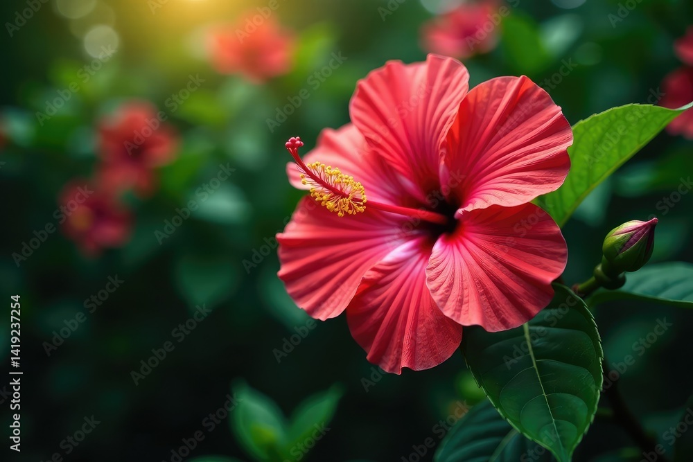 Intricate hibiscus blossoms, vibrant petals, lush foliage, aesthetic, elegant, polynesia Intricate hibiscus blossoms, vibrant petals, lush foliage, aesthetic, elegant, polynesia