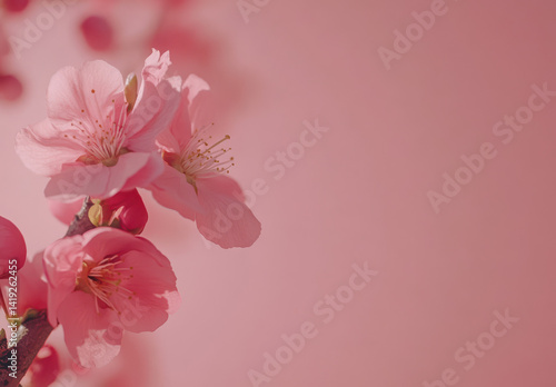 On Mother's Day,Cherry blossom branches and light pink flowers create a soft and peaceful atmosphere.