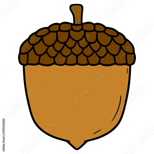 acorn illustration hand drawn isolated vector