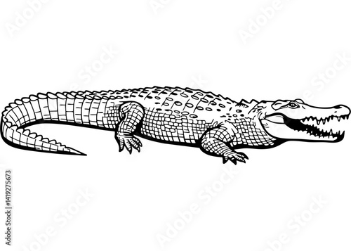 crocodile vector mono color design