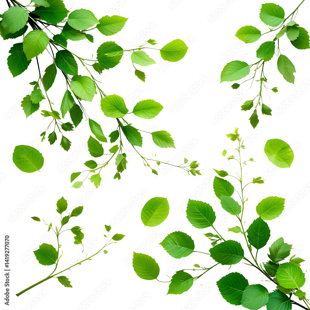 Green leaves pattern, a seamless vector illustration of natural foliage and spring growth Green leaves pattern, a seamless vector illustration of natural foliage and spring growth