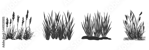 Silhouette Of Various Grass Types Set. Natural Elements For Landscaping And Design Isolated Vector Illustration Collection