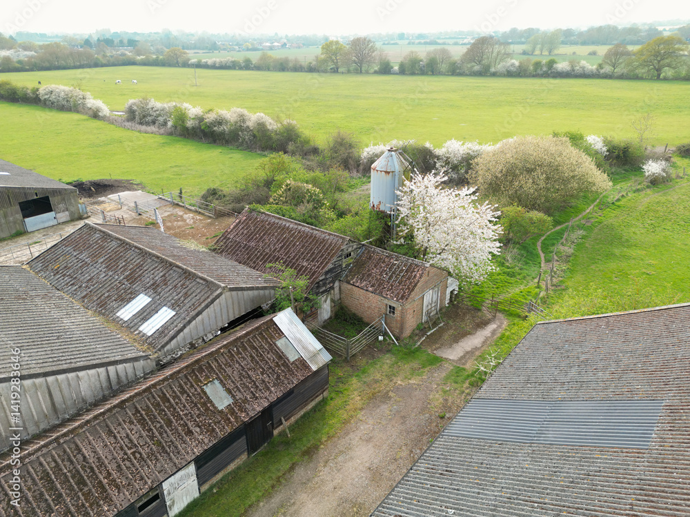 Aerial view of a large and mainly derelict dairy farm seen in rural Britain. Notice the tall grain silo at the back of the image, used to feed the cows when milking.