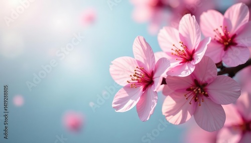 Wallpaper Mural Delicate pink cherry blossoms, soft petals, intricate branches , branch, wallpaper Torontodigital.ca