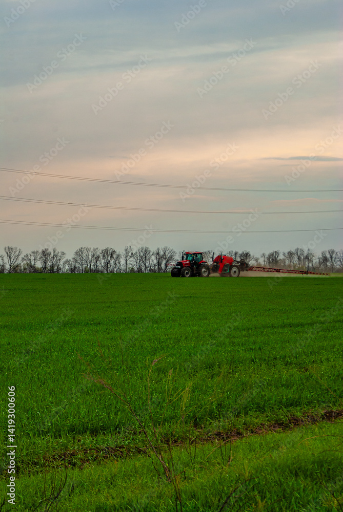 Fototapeta premium Farm tractor on the field at the spring , wheat field and red farming vehicle 