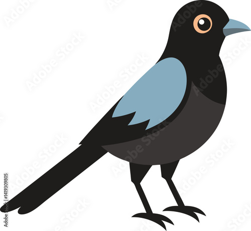 Myna and dove vector birds icon set