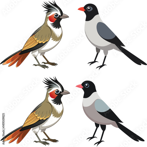 Myna and dove vector birds icon set