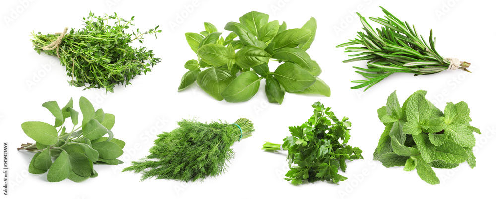 Obraz premium Different aromatic herbs on white background, collage