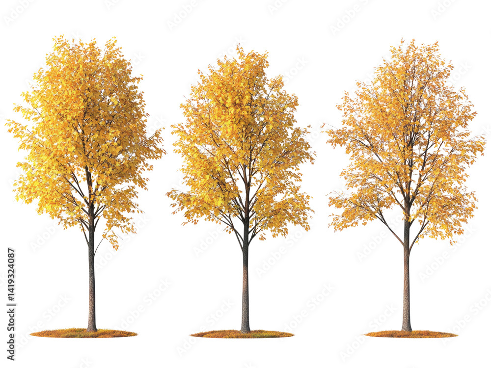 Naklejka premium Three Golden Autumn Trees Isolated on Black Background Perfect for Fall Season Designs and Compositions