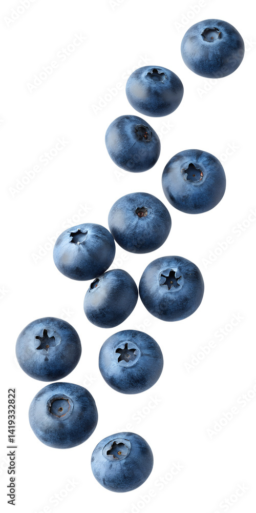 Blueberries falling isolated on transparent background Blueberries falling isolated on transparent background