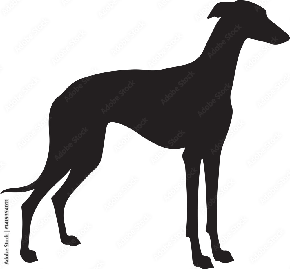 Fototapeta premium Spanish Greyhound dog silhouette dog breeds pet animals