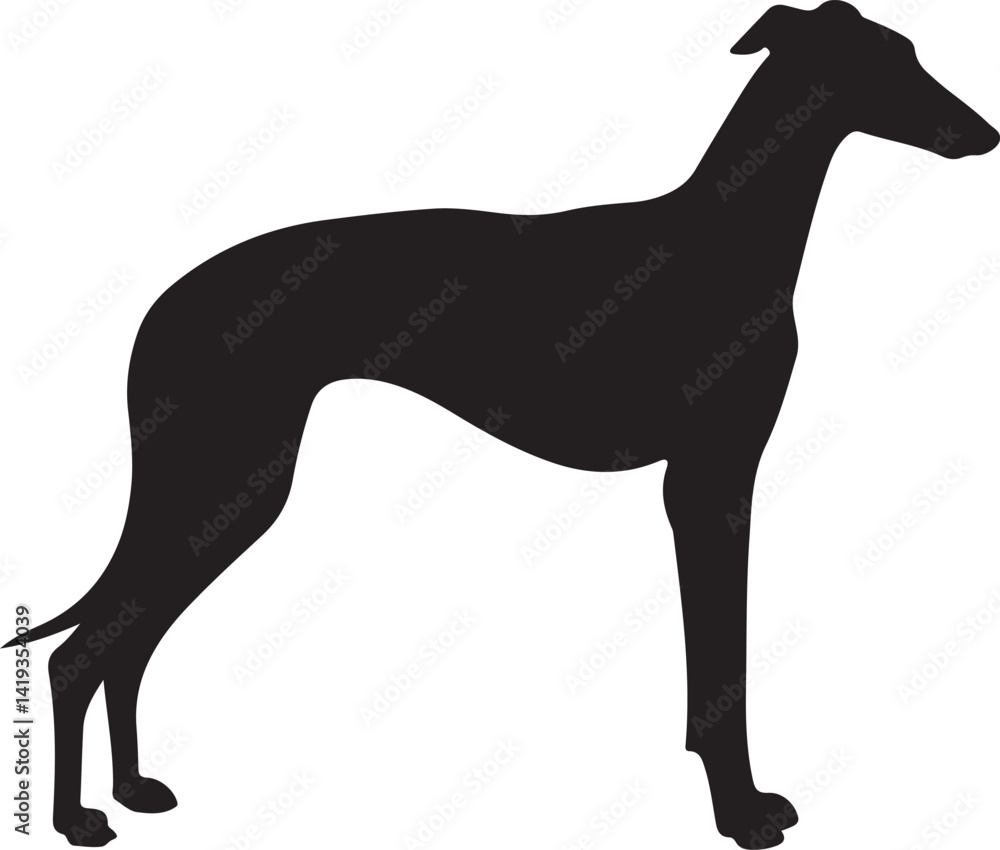 Obraz premium Spanish Greyhound dog silhouette dog breeds pet animals