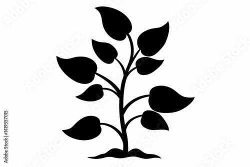 bean plant silhouette line art vector illustration