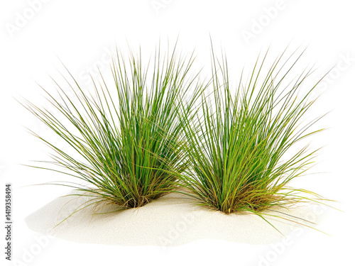 Stunning Coastal Dune Grass: Lush Green Blades Against White Sand