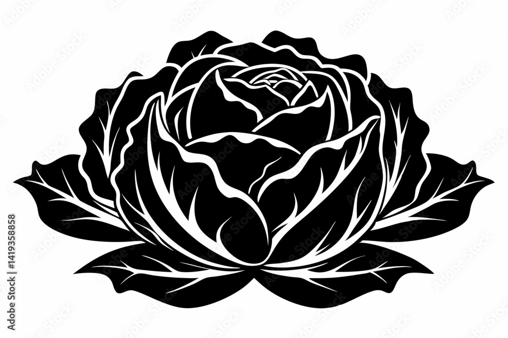Obraz premium cabbage plant silhouette line art vector illustration