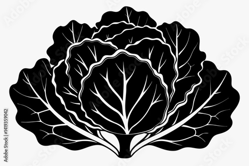 cabbage plant silhouette line art vector illustration