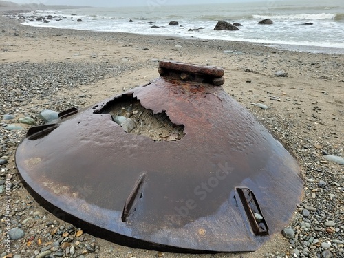 What is it? A mysterious beach find.