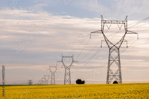 pylônes électrique dans un champ de colza