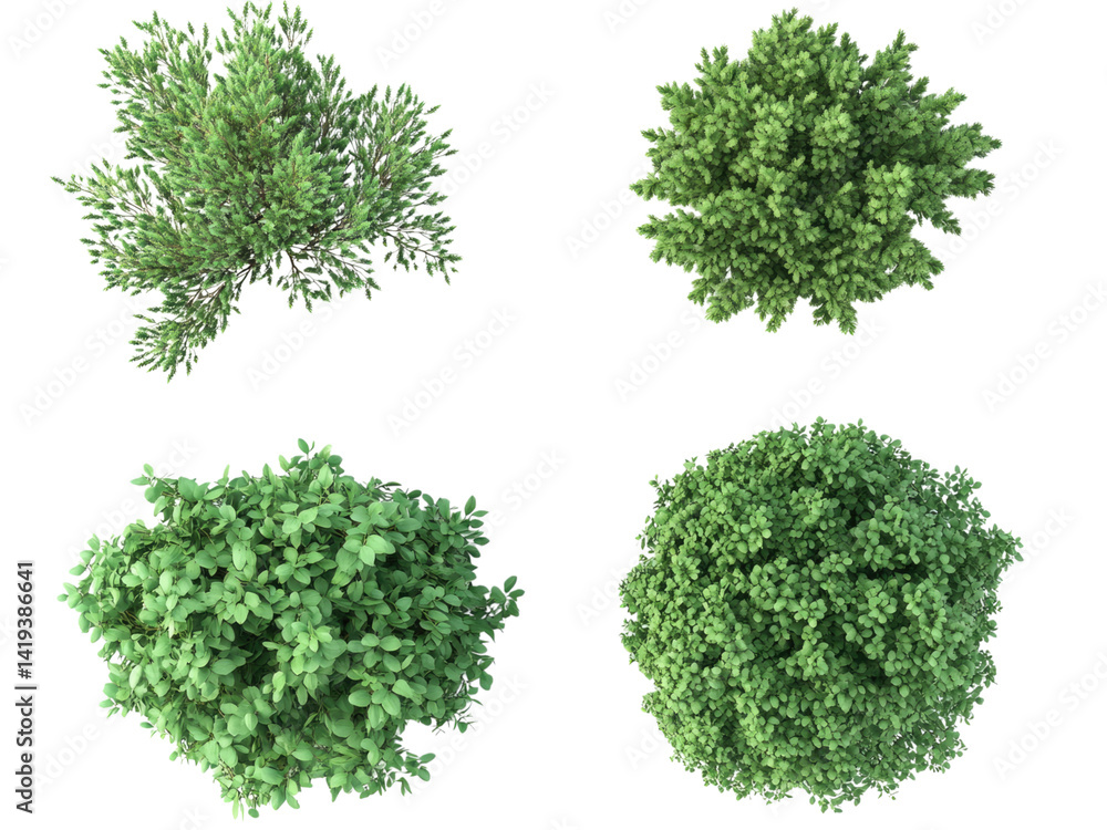 Aerial View of Four Diverse Green Shrubs Lush Foliage Top Down Perspective Botanical Garden Plants Aerial View of Four Diverse Green Shrubs Lush Foliage Top Down Perspective Botanical Garden Plants