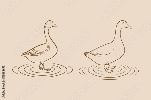 Two elegant goose outline illustration standing in water surface ripples graphic