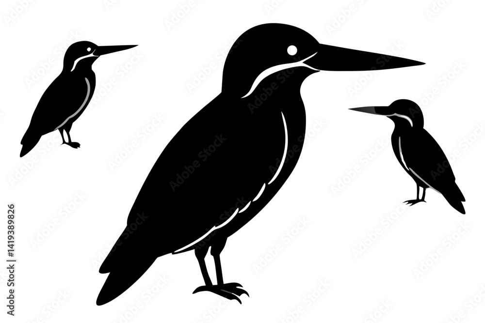 Fototapeta premium kingfisher bird vector silhouette illustration on white background