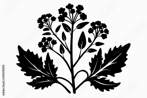 mustard plant silhouette line art vector illustration