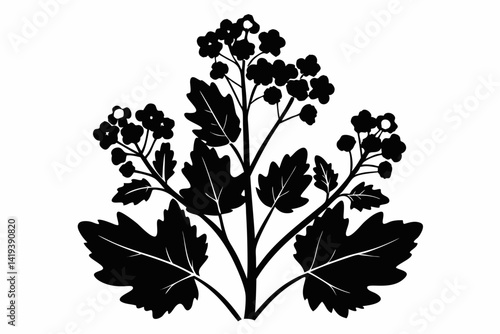 mustard plant silhouette line art vector illustration