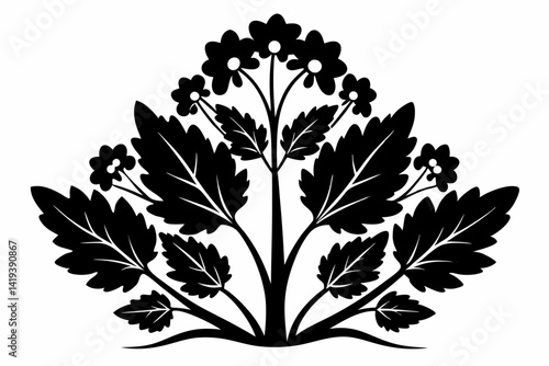 mustard plant silhouette line art vector illustration