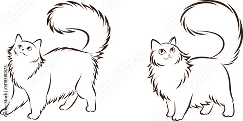 Two adorable fluffy cats with large tails in simple outline style
