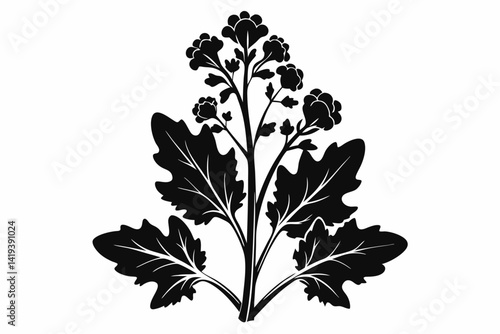 mustard plant silhouette line art vector illustration