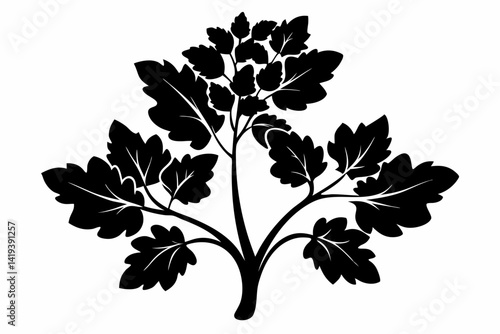 mustard plant silhouette line art vector illustration