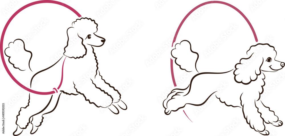 Two poodles jumping through a hoop line art animal training design Two poodles jumping through a hoop line art animal training design