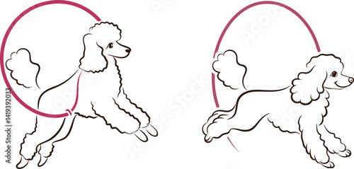 Two poodles jumping through a hoop line art animal training design