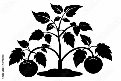 tomato plant silhouette line art vector illustration