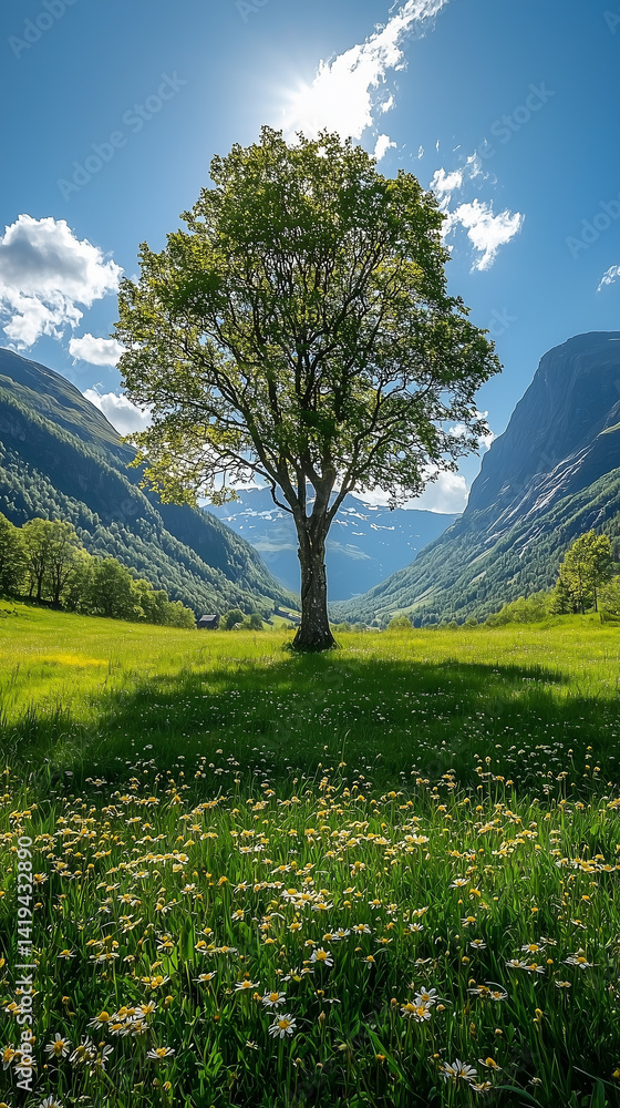 Fototapeta premium A beautiful tree in the middle of an idyllic green valley with mountains and a blue sky.