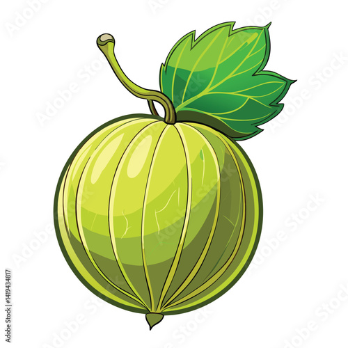 Green Gooseberry Fruit with Leaf